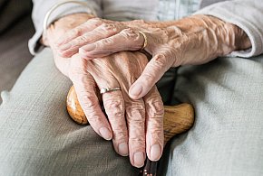 Nowa stawka najniższej emerytury. Rząd ujawnił kwotę-23326