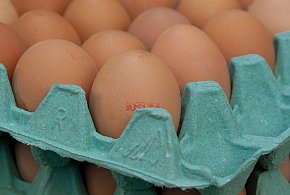 Salmonella na jajach znanej marki. Nie jedz, jeśli masz je w lodówce!-23491
