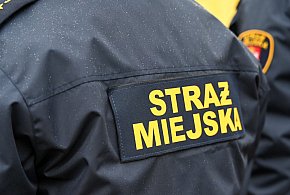 Zapuka strażnik, zapłacisz karę. Ruszyły kontrole w całej Polsce-25016