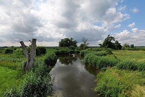 Co dalej z nowym parkiem narodowym? Minister klimatu zdradza plan po wecie-25395