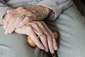 Te osoby dostaną dwie emerytury w grudniu. ZUS przesuwa przelewy-25540