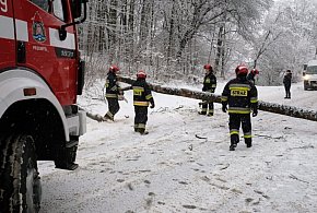 2101 interwencji strażaków po opadach śniegu i deszczu ze śniegiem-25584