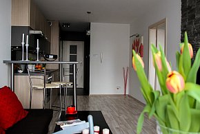 Rewolucja w wynajmie na doby. Nadchodzi koniec "wolnej amerykanki"-25697