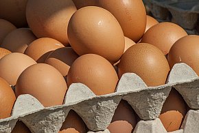 Salmonella wykryta w jajach! GIS wydał pilne ostrzeżenie-25864