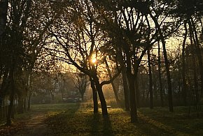 Nadchodzi najkrótszy dzień w 2025 roku. Sprawdź, kiedy przypadnie-25887