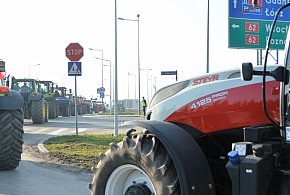 Rolnicy zapowiadają protest w całym kraju. Skala może zaskoczyć-26029