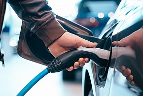 Coraz częściej dochodzi do takich kradzieży. Powody zaskakują-26204