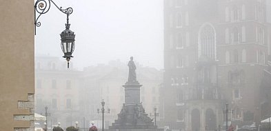 Raport: rocznie 40 tys. przedwczesnych zgonów w Polsce z powodu smogu-24612