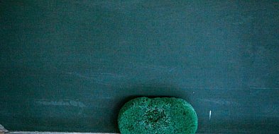 14 października - Dzień Edukacji Narodowej. W Polsce jest 707,6 tys. nauczycieli,-24989