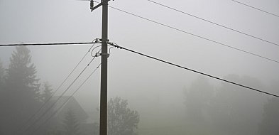 Długi weekend z opadami deszczu i gęstą mgłą-25357