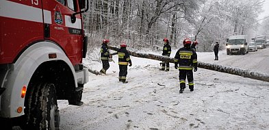2101 interwencji strażaków po opadach śniegu i deszczu ze śniegiem-25584