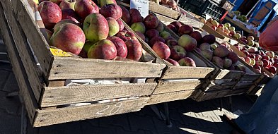 Mężczyźni w średnim wieku szczególnie zagrożeni przez PFAS