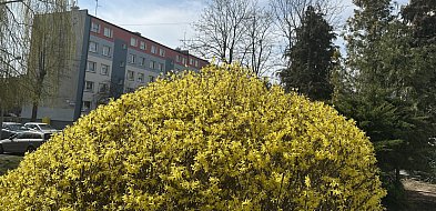 Rzeczniczka IMGW: Wielkanoc z napływem arktycznych mas powietrza