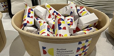 Rozpoczął się nabór do 10. edycji budżetu obywatelskiego województwa łódzkiego