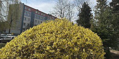 Rzeczniczka IMGW: Wielkanoc z napływem arktycznych mas powietrza