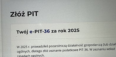 Ostatnie cztery dni na rozliczenie PIT za ubiegły rok