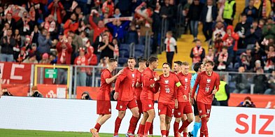 Polska - Nowa Zelandia 1:0 w towarzyskim meczu piłkarskim. Bramkę zdobył Piotr Zie-24940