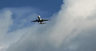 Ekspert: Polacy wracają z emigracji, bo rośnie jakość życia w kraju-24418
