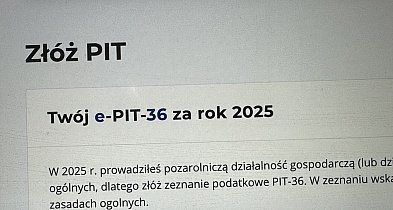 Ostatnie cztery dni na rozliczenie PIT za ubiegły rok
