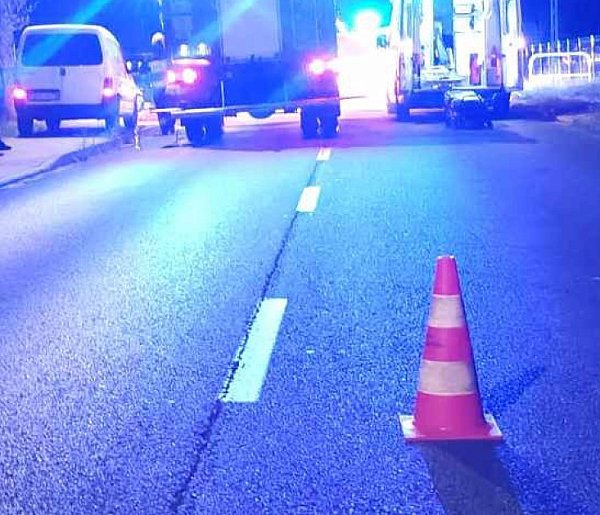Tragedia na drodze pod Radomskiem: dwa konie wbiegły na jezdnię, 75-letni kierowca-24850