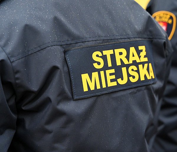 Zapuka strażnik, zapłacisz karę. Ruszyły kontrole w całej Polsce-25016