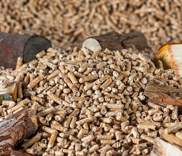 Drożeje popularny opał. Miliony Polaków dostaną po kieszeni tej zimy-25227