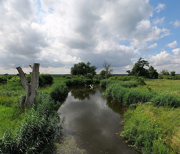 Co dalej z nowym parkiem narodowym? Minister klimatu zdradza plan po wecie-25395