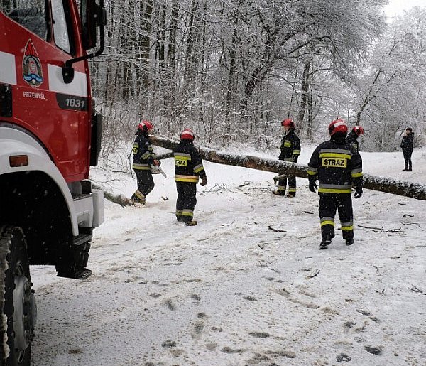2101 interwencji strażaków po opadach śniegu i deszczu ze śniegiem-25584