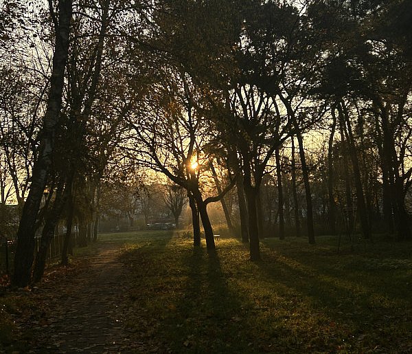 Nadchodzi najkrótszy dzień w 2025 roku. Sprawdź, kiedy przypadnie-25887