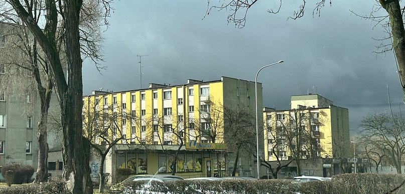 Badanie: mniej samochodów w mieście to znacznie mniej hałasu