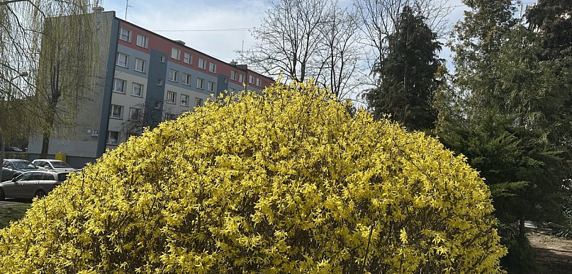 Rzeczniczka IMGW: Wielkanoc z napływem arktycznych mas powietrza