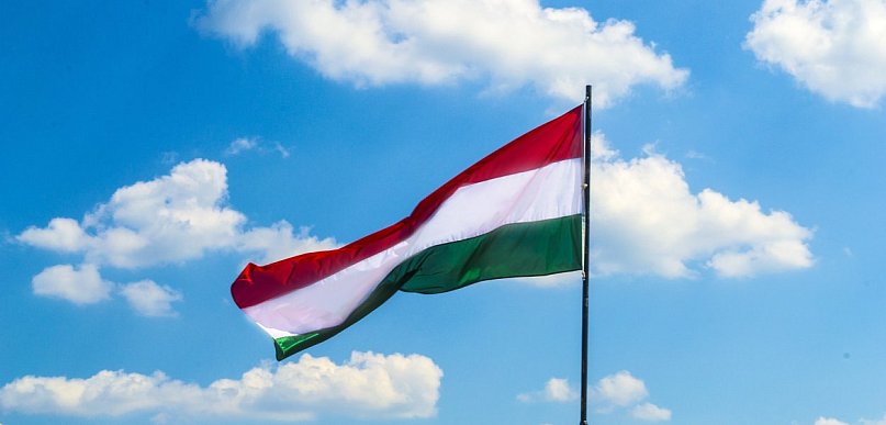 Ekspertka: Bez propagandy i poparcia mediów, można wygrać wybory