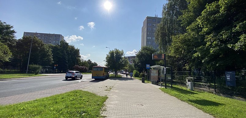 Ekspert: temperatura w nagrzanym samochodzie może osiągnąć nawet 70 st. C