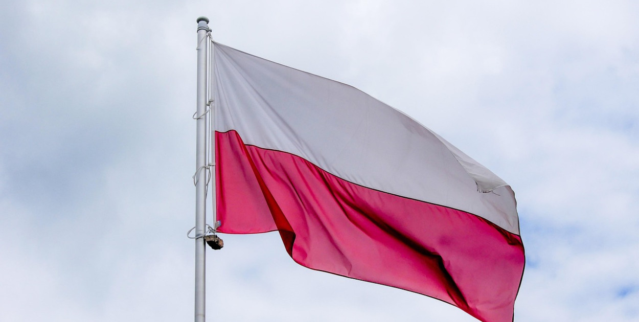 Obraz Tomek z Pixabay