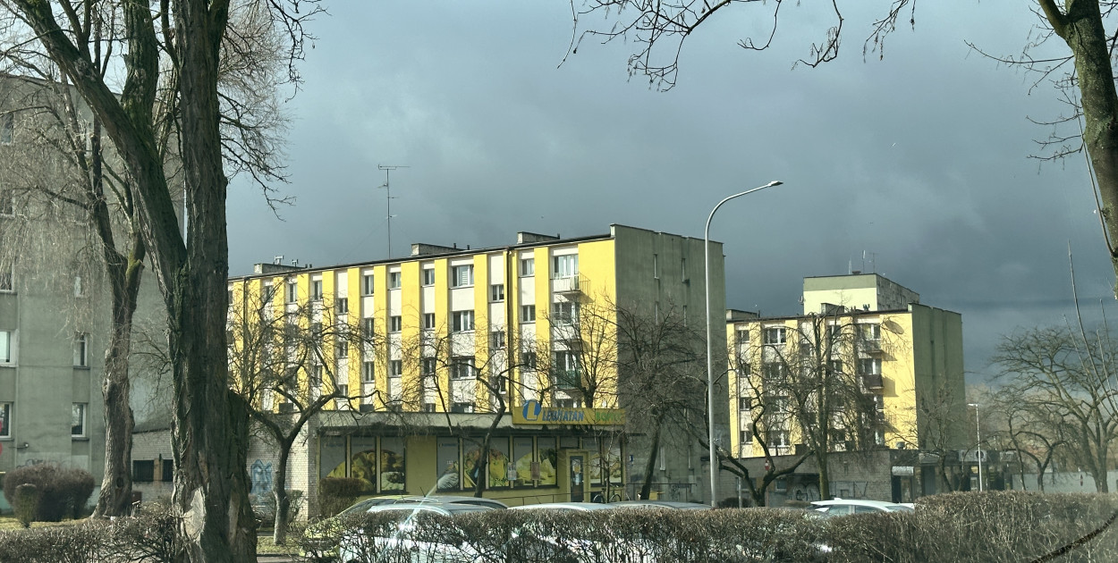 Badanie: mniej samochodów w mieście to znacznie mniej hałasu