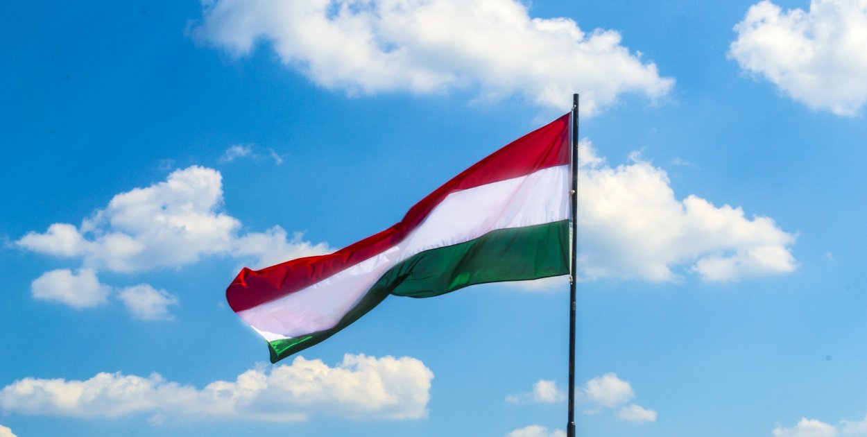 Ekspertka: Bez propagandy i poparcia mediów, można wygrać wybory