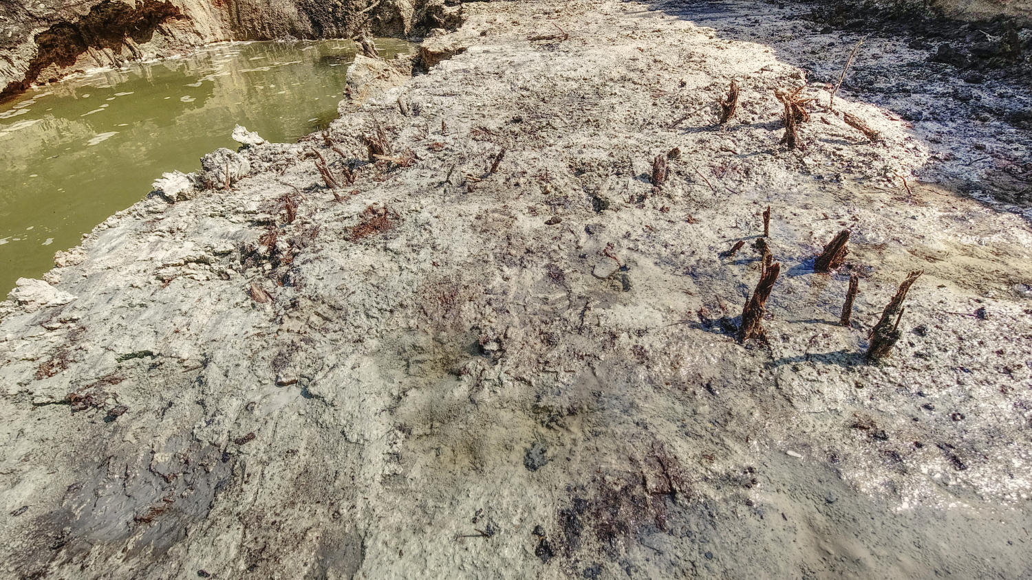 Archeolodzy w Radomsku wykopali wiele ciekawych przedmiotów