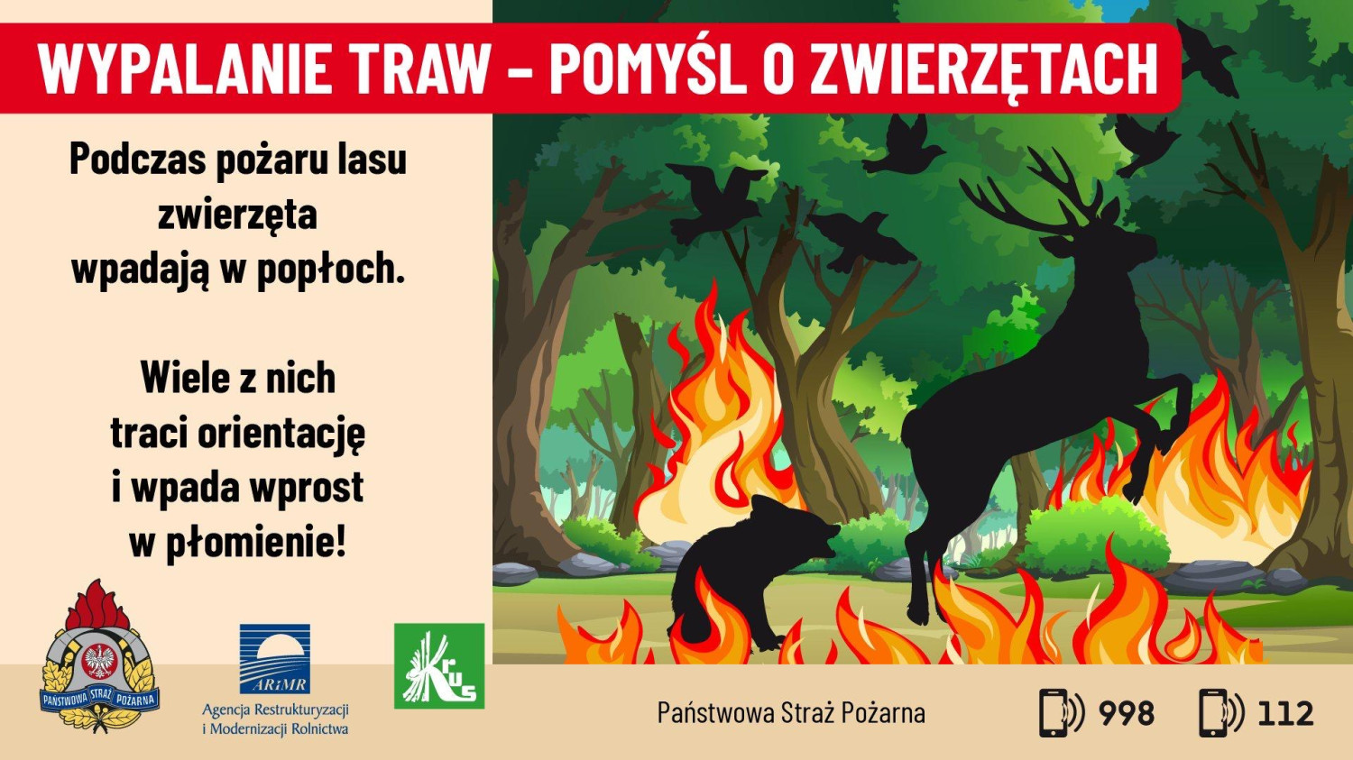 Pożar traw