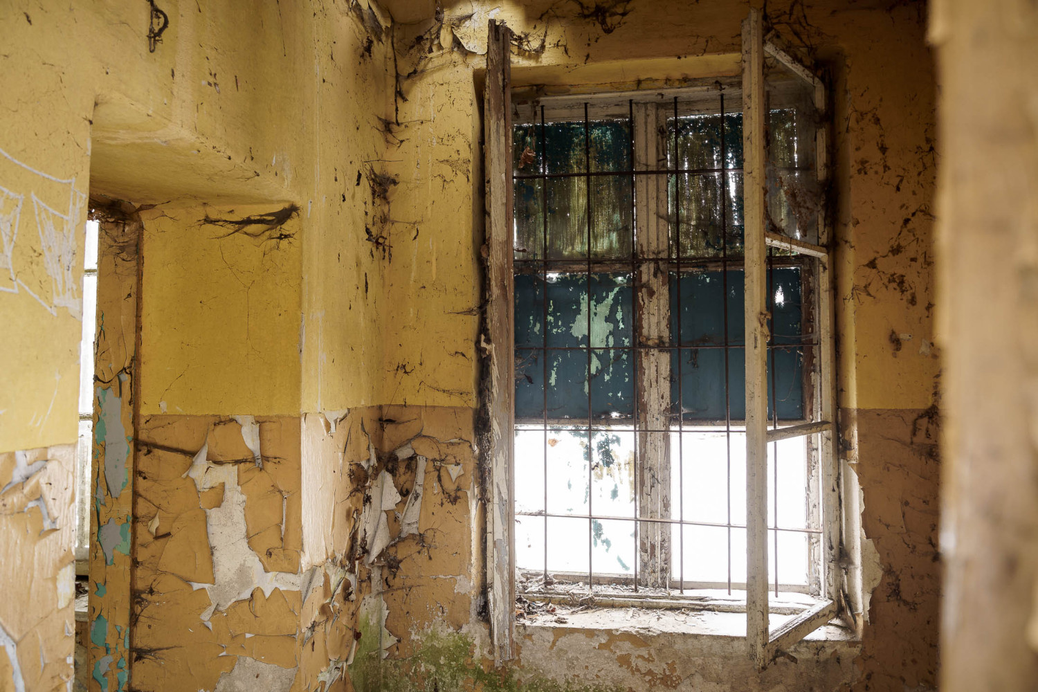 Ruiny dworu w Kobielach Wielkich